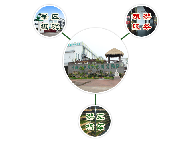 松萝茶文化博物园